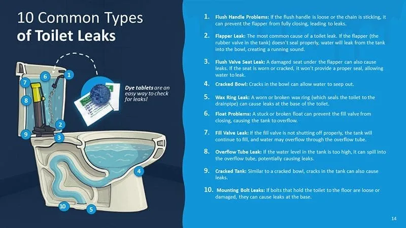 Illustrated guide to toilet leaks