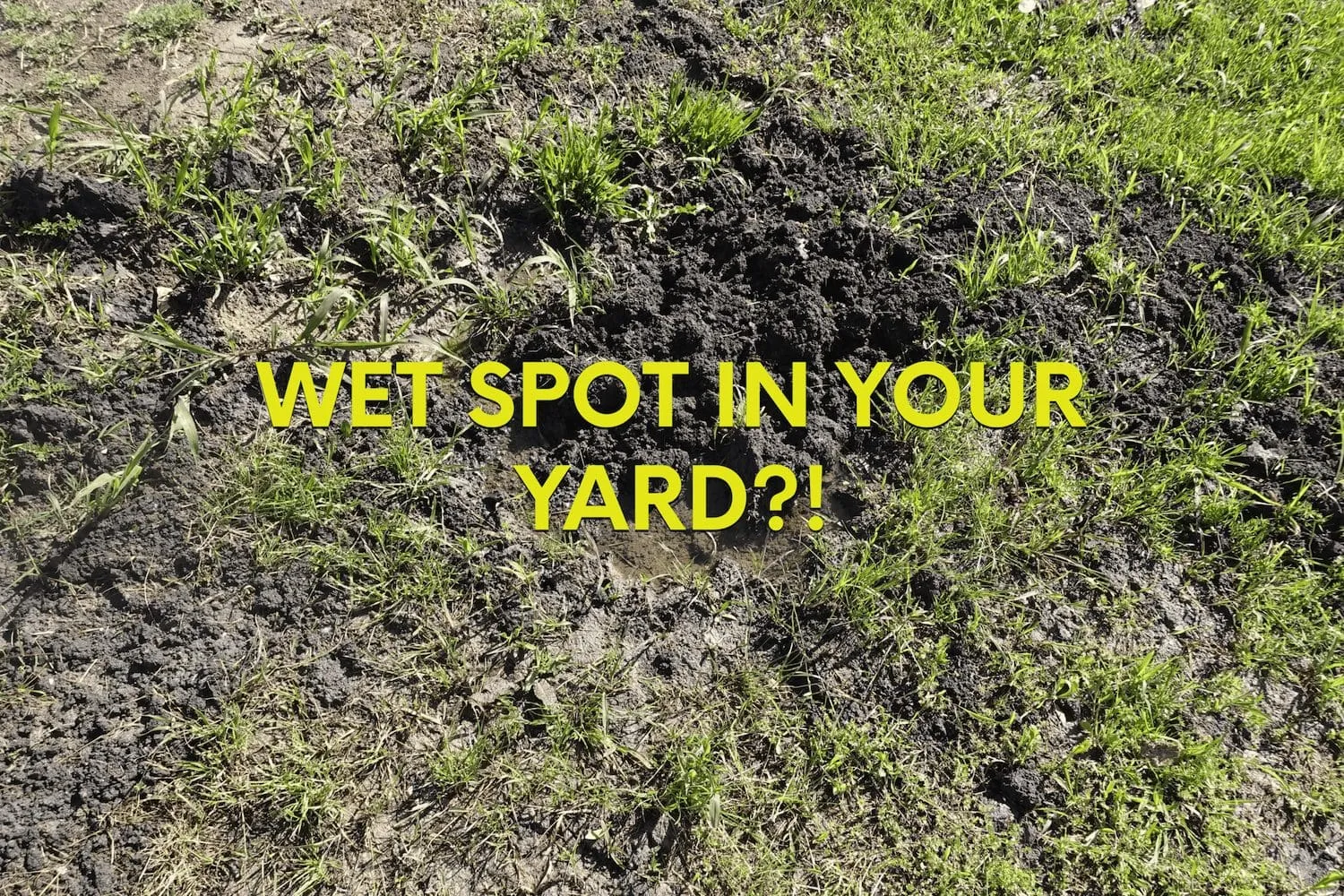 Signs your pool is leaking