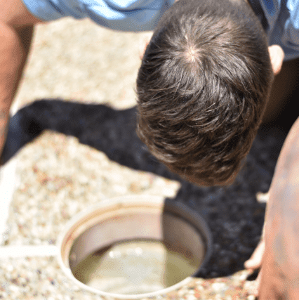Pool Leak Detection Expert examining a pool skimmer bucket